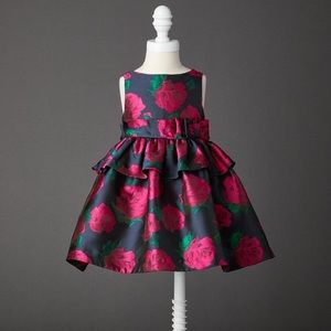 EUC Janie and Jack Rose Peplum Dress